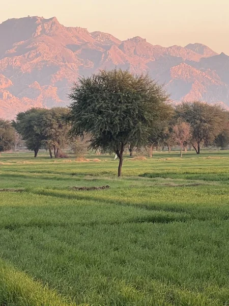 Dağların güzel manzarası