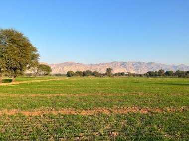 İspanya 'nın Negev bölgesinin dağlarındaki manzara
