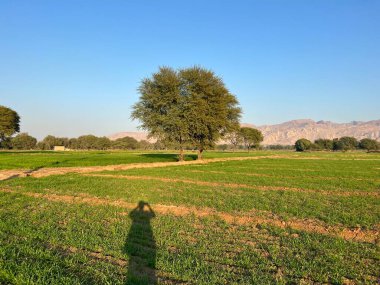 Doğanın güzel manzarası