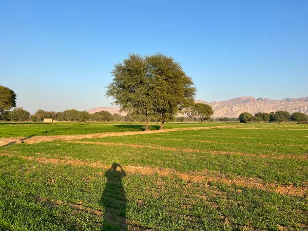 Doğanın güzel manzarası