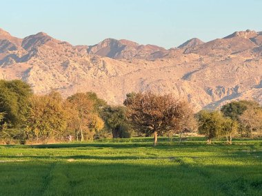 açık hava manzarasının resimsel görüntüsü