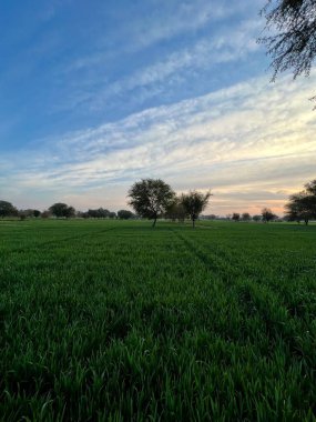 Gün batımında güzel bir akşam gökyüzü olan güzel bir kırsal bölge. Yeşil tarla ve köy