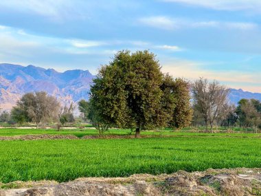 Gün batımında güzel bir akşam gökyüzü olan güzel bir kırsal bölge. Yeşil tarla ve köy