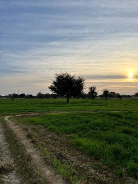  Gün batımında güzel bir akşam gökyüzü olan güzel bir kırsal bölge. Yeşil tarla ve köy