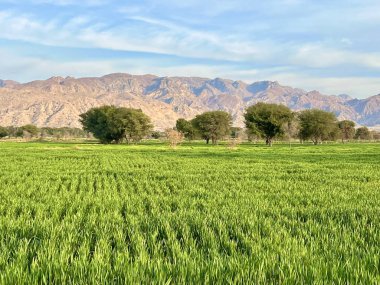  Gün batımında güzel bir akşam gökyüzü olan güzel bir kırsal bölge. Yeşil tarla ve köy