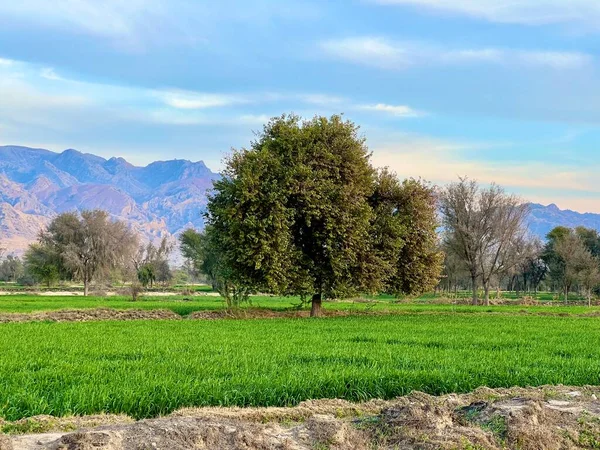 Gün batımında güzel bir akşam gökyüzü olan güzel bir kırsal bölge. Yeşil tarla ve köy