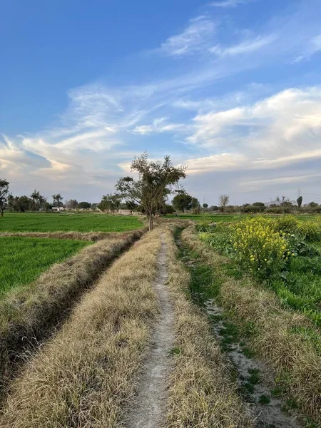  Gün batımında güzel bir akşam gökyüzü olan güzel bir kırsal bölge. Yeşil tarla ve köy