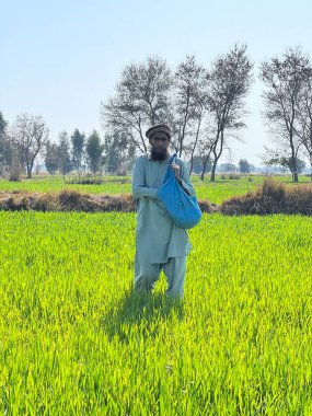 farmer in a field with watering can and plants