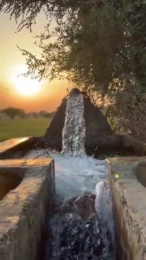 Yeşil buğday tarlası ıslığı, kepek tarlaları ve köyde buğday.