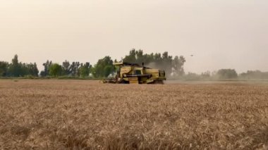 Buğday tarlası ve tarım makinelerini hasat eden hasatçıları birleştirin.