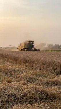 Buğday tarlası ve tarım makinelerini hasat eden hasatçıları birleştirin.