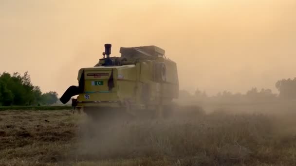 Buğday Tarlası Tarım Makinelerini Hasat Eden Hasatçıları Birleştirin — Stok video