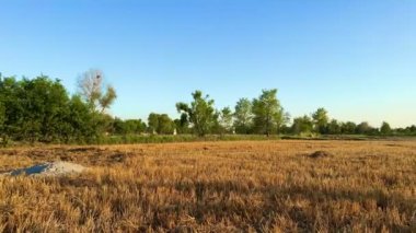 Kırsalda güzel bir gün batımı