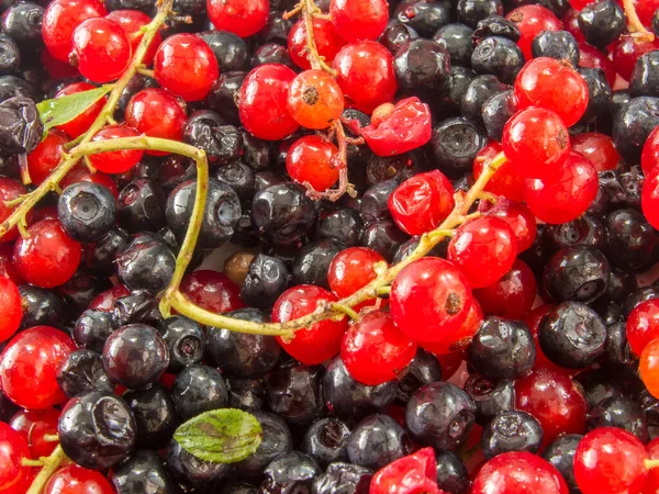 stock image assorted piles of forest fruits close up