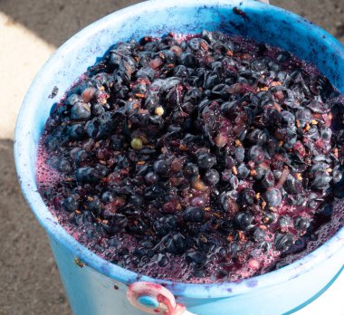 sıkılmış üzümlü kovalar