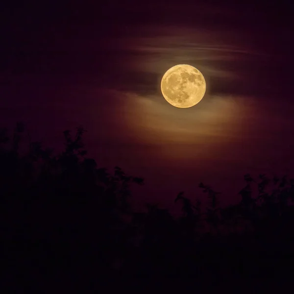Дивний Жовтий Повний Місяць Темні Хмари — стокове фото