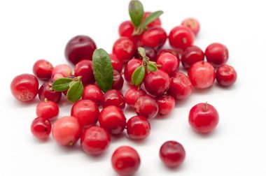 beyaz yaban mersini yığını