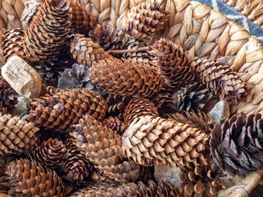 İçinde köknar kozalakları olan sepeti kapat.