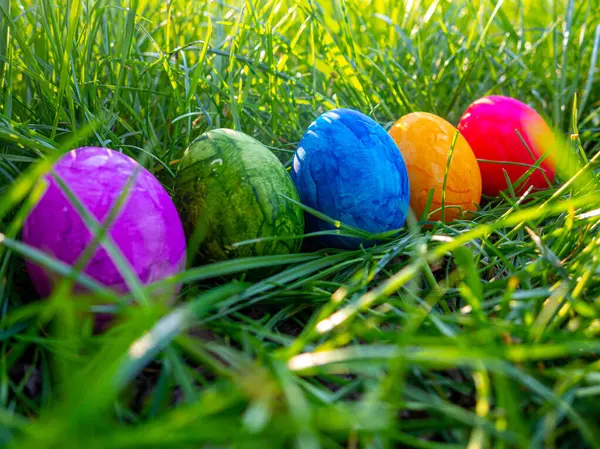 Colored easter eggs in the grass easter egg hunt concept