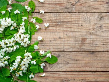 Akasya çiçeklerinden yapılmış çerçeve ve ahşap arkaplanda kopya alanı olan yapraklar
