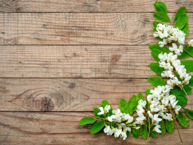 Akasya çiçeklerinden yapılmış çerçeve ve ahşap arkaplanda kopya alanı olan yapraklar