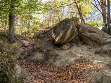 Trovant olarak bilinen muhteşem kaya oluşumları Ulmet, Buzau County, Romanya