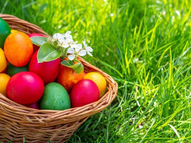 Yeşil çimlerde oturan renkli paskalya yumurtası sepeti.