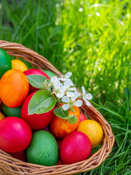 Yeşil çimlerde oturan renkli paskalya yumurtası sepeti.