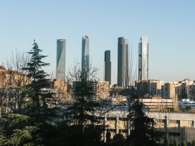 Güneşli gökyüzü ve ön planda ağaçlarla Madrid 'in dört kulesinin ufuk çizgisi.