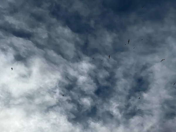 Σύννεφα Ουρανού Και Ένα Σμήνος Πουλιών Που Πετούν Στον Ουρανό — Φωτογραφία Αρχείου