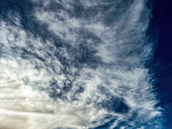 Cloudy Skies Sunshine Flock Birds Flying Sky — Stock Photo, Image