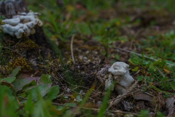 Ağaç gövdesi ve çimenli doğal dokulara sahip soyut arkaplan