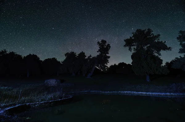 Long Exposure Photography Night Stars Background Foreground Trees Pond Water — Stock Photo, Image
