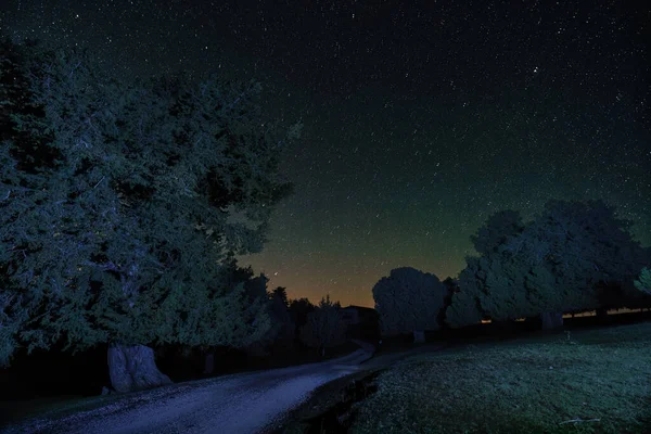 Night Long Exposure Photography Background Stars Foreground Road Trees — Stock Photo, Image