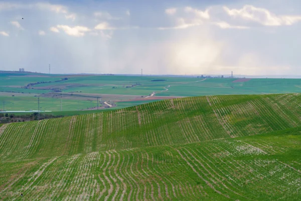 stock image Fields of crops with a horizon of blue sky with clouds and sunbeams