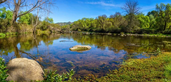 Nehrin taşlı panoramik manzarası ve ağaçların mavi ve yeşil tonları