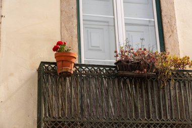 Eski balkon saksı ile