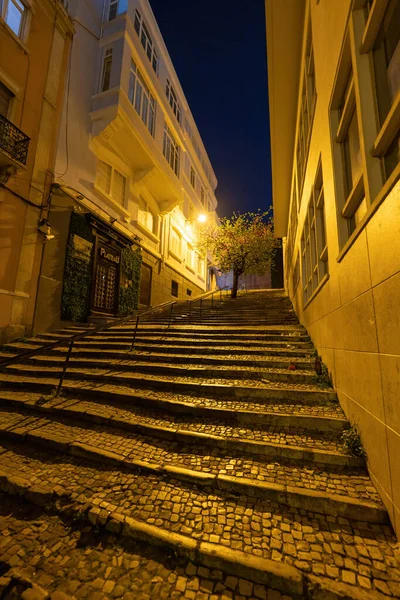 Scale Alberi Nella Città Lisbona Notte — Foto Stock