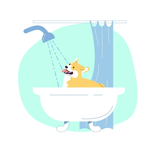 Corgi Dog Bathing Bathtub Flat Vector Illustration — Stock Vector