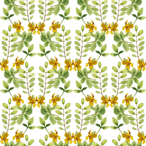 Акварельні Листя Жовтий Квітковий Безшовний Візерунок Квіткова Текстура Білому Тлі — стокове фото