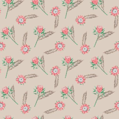 Suluboya protea çiçekleri ile kusursuz desen. Bej arka planda Boho çiçek deseni