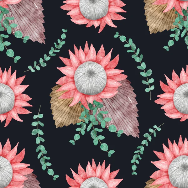 Seamless Pattern Watercolor Protea Flowers Boho Floral Pattern Black Background — Stock Photo, Image