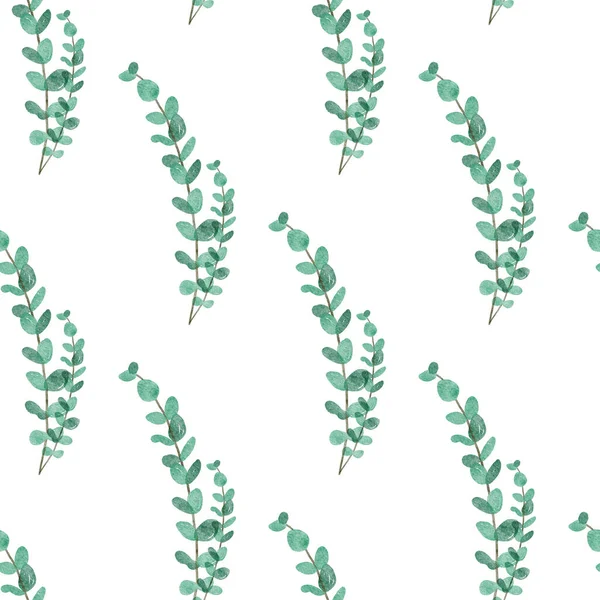 Nahtloses Muster Mit Aquarell Eukalyptusgrün Boho Florales Muster — Stockfoto