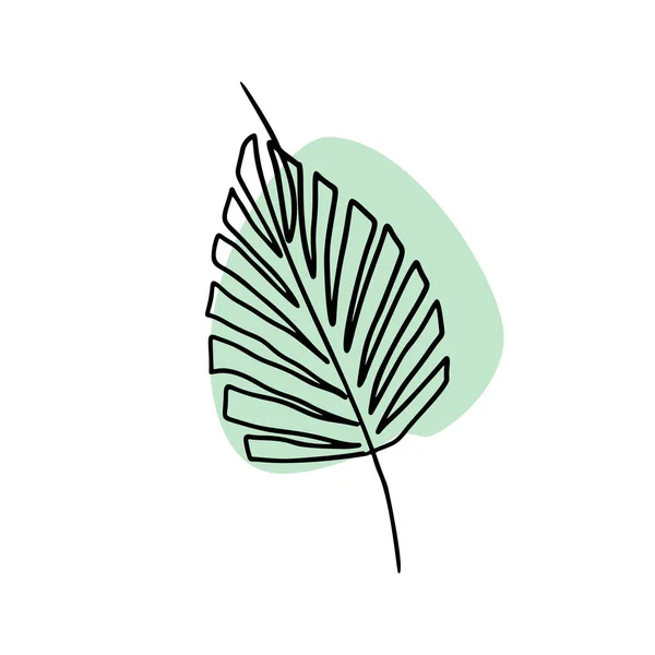 Однорядковий Малюнок Пальмового Листа Білому Тлі — стоковий вектор