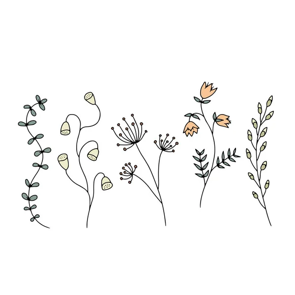 Рука Намальована Ілюстрація Диких Квітів Встановлена Ізольовано Білому Тлі Мінімалістичні — стоковий вектор