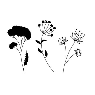 Beyaz arka planda izole edilmiş el çizimi yabani çiçek silüetleri. Minimalist çiçekli karalamalar.