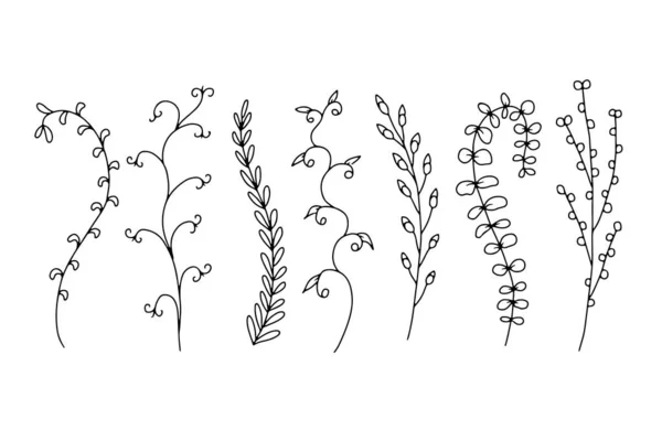 Illustrations Fleurs Sauvages Dessinées Main Isolées Sur Fond Blanc Seringues — Image vectorielle