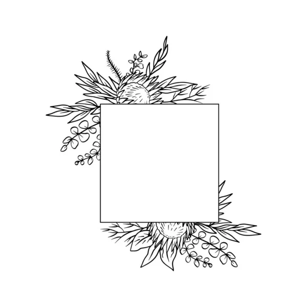 Ligne Art Monochrome Dessinée Main Protéa Fleur Cadre Carré Tropical — Image vectorielle