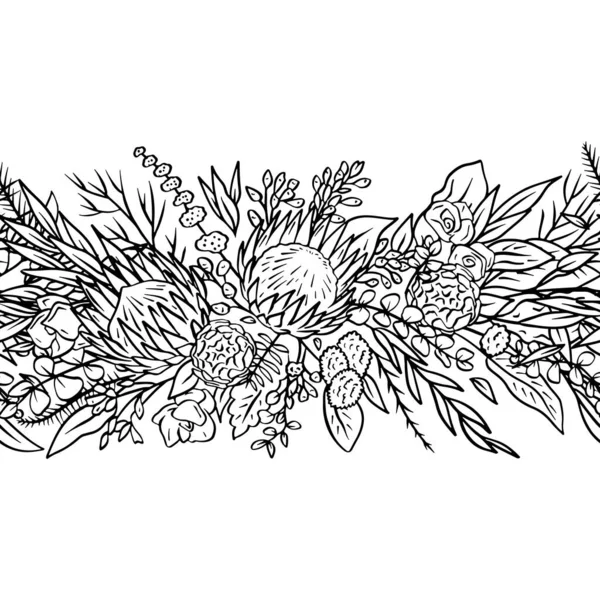 Tropikal Protea Çiçekleri Okaliptüs Içeren Tek Renkli Dikişsiz Fırça Boho — Stok Vektör