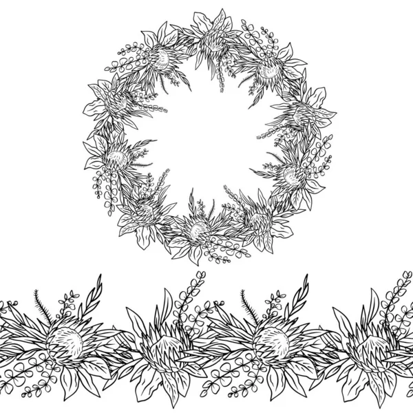 Cepillo Corona Monocromáticos Sin Costura Con Flores Protea Tropical Eucalipto — Vector de stock